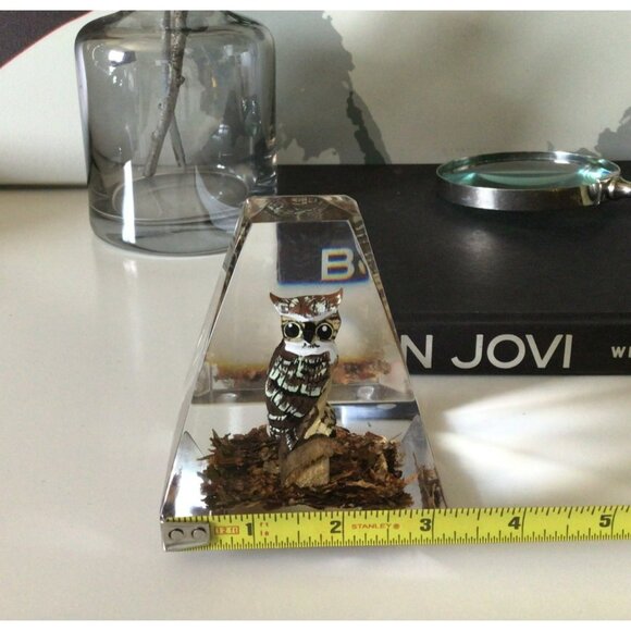 Lucite Pyramid Paperweight Hand Carved Painted Great Horned Owl MCM Mid-century - Picture 8 of 10